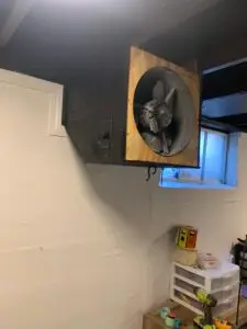 Exhaust Fan Removal in Oakwood