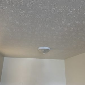 Ceiling Painting in Kettering