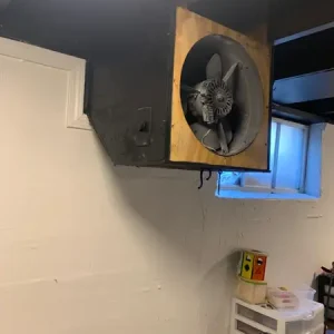 Exhaust Fan Removal in Oakwood